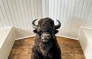 Cedar Ridge Hideaway - Foto 42