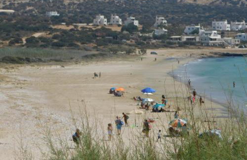 Paradise Studios - Foto 44