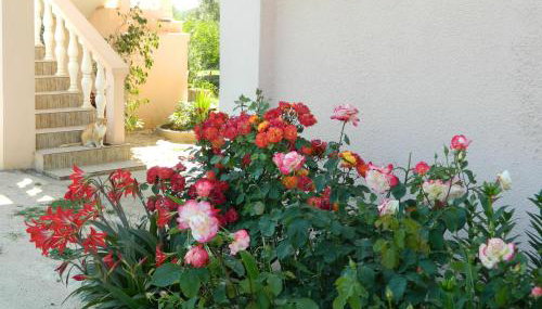 Bartulovi dvori - Foto 5, Garden