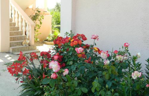 Bartulovi dvori - Foto 5