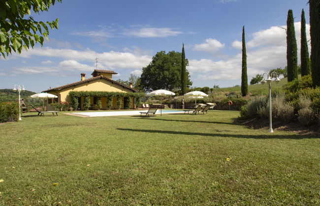 Corbezzolo - Foto 37