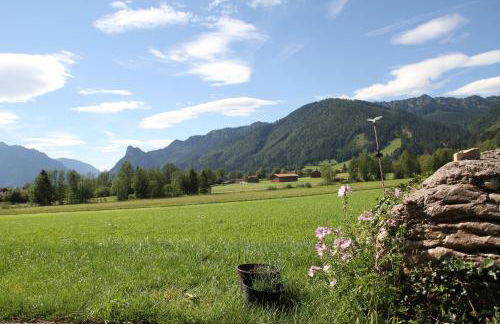 Gästehaus-Bauernhof Buchwieser - Foto 14