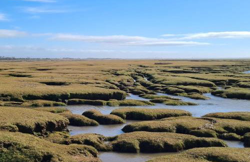 Marrion House - Foto 18