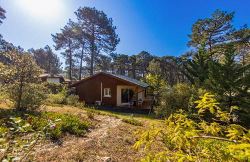 La Pinède - Carcans, Medoc - Foto 24