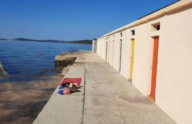 Oleander adria - Foto 39