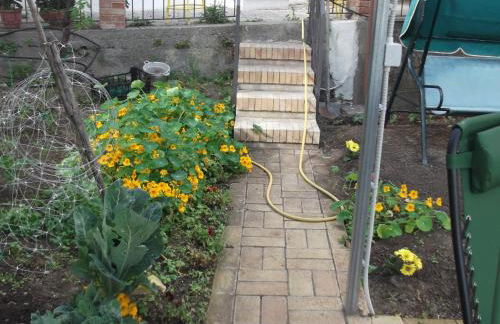 Le Mimose - Photo 76