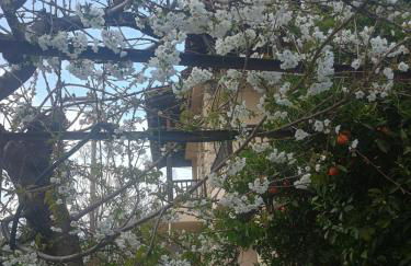 Spartan Antonis' house - Foto 23