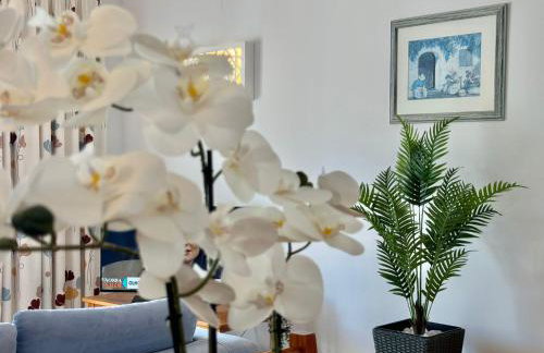 Grupo Morgado - Quinta do Morgado - Morgado Pool View - Foto 30