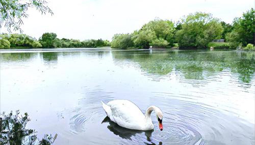The Lake House, Woking - Photo 4