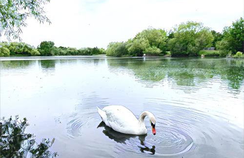The Lake House, Woking - Photo 4