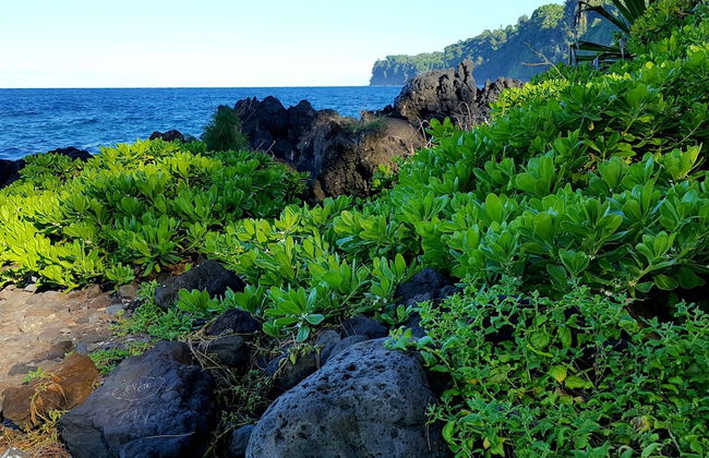 Hamakua Pukana La Hale 3 Bedroom Home by RedAwning - Foto 35