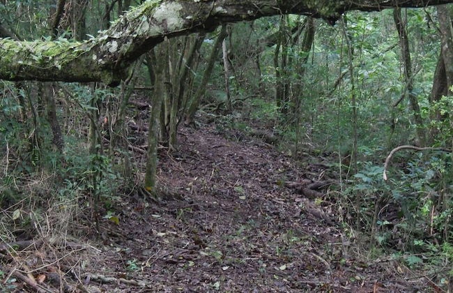 Chalet em Viamão - Foto 31