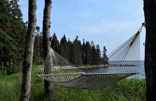 Eco-Friendly Peaceful Cabin with Lofted Interior and Water Views in Maine - Foto 6