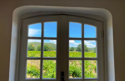 Le Clos des Pigières Gîte le Grènetier - Foto 18