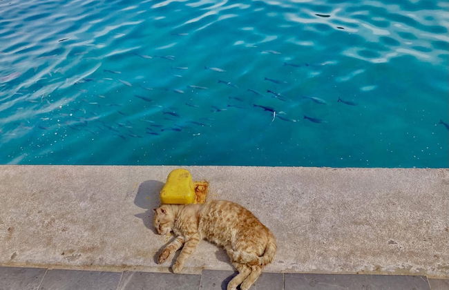 Chios Cozy studio Island Getaway - Foto 28