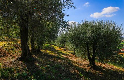 AGRITURISMO TERRA VOLONTERI - Foto 28