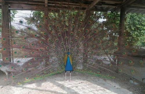 Agriturismo La Ruota - Foto 17