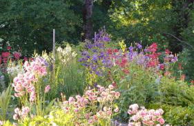 Ferienwohnung Wild - Foto 14