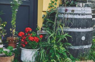 Blickinsfreie - Photo 58