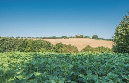 Quadrifoglio - Foto 9