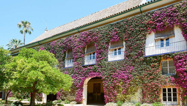 Entrada al Palacio de las Dueñas - Foto 2, Recorriendo el Palacio de las Dueñas