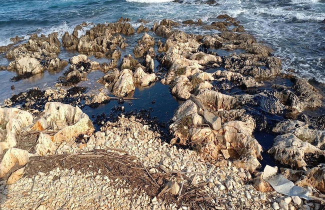 Holiday Home in Valtura With Garden - Photo 37