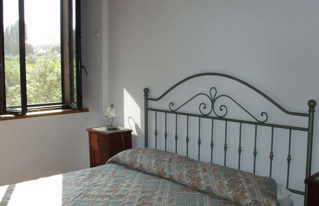 Codavolpe Giardino di Tea - Foto 2