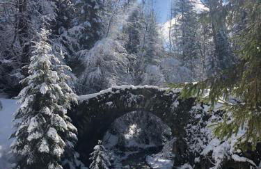 Le Moulin des Olirics - Photo 111