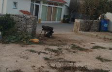 Quintal do Ti Zaquiel - Foto 12