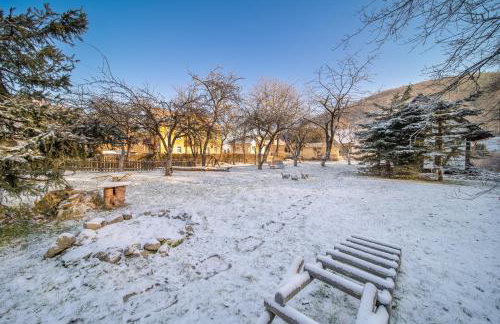 Górski Sad - Bazylia - Foto 26