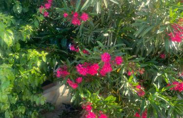 Villa Rocky Beach - Photo 70