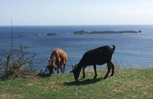 Abba Arrubia - Foto 30