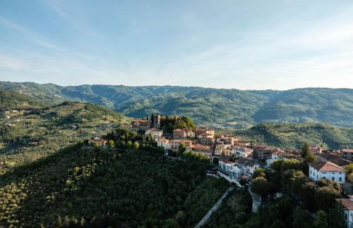 Villa la Moresca Your Tuscan Dream Panorama - Foto 10