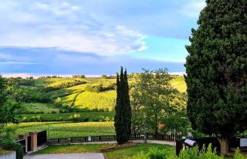 Azienda agricola biologica Le Lucciole - Foto 20