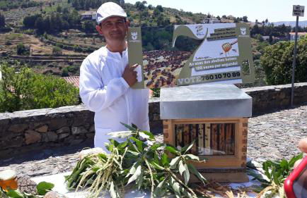 Apimonte City House A - Foto 56