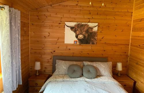 Teviot Lodge - Sleeps 6 - Pets - River Views - Foto 12