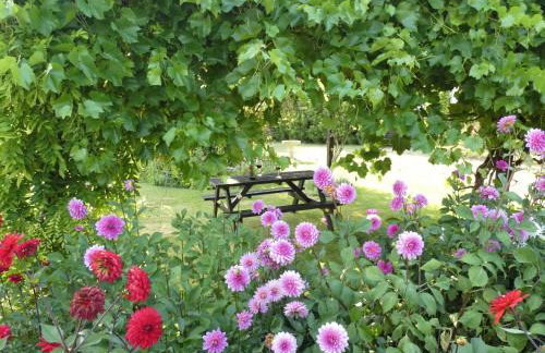 Welcome to Hazelwood, The Mount Somerton Apartment - modern and fully equipped, Private off-street parking, Near Glastonbury Tor, The spectacular Wells Cathedral, Stourhead, Sherborne Abbey, Millfield School, Clark's Village - Foto 42