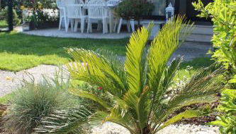 Casa EUROPA - Foto 4