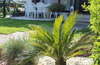 Casa EUROPA - Foto 4