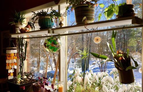 Happy Haven w hottub, Gym, & hammocks in West AVL - Foto 13