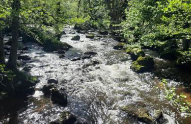 L Atelier des Rêves 43 - Foto 13