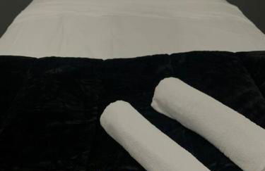 Apartamento Passo Fundo - Foto 10