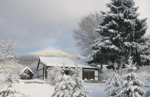 Gasthaus Wollmeiner - Foto 4
