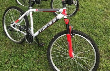 Sole di Sicilia - Foto 37