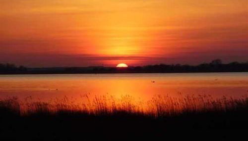 Ferienhaus Seeschwalbe - Foto 3