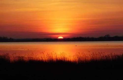 Ferienhaus Seeschwalbe - Photo 3