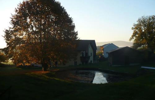 Ferienhof Stöhrmühle - Foto 24