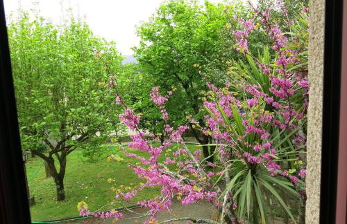 Casa Dos Tinocos - Foto 42