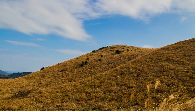 Histoire coréenne et patrimoine mondial de l'UNESCO - Visite privée - Photo 3