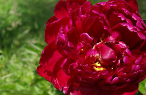 L'Hirondelle - La Cipière Gîtes - Foto 23